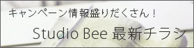 Studio Bee(スタジオビー) 最新チラシ
